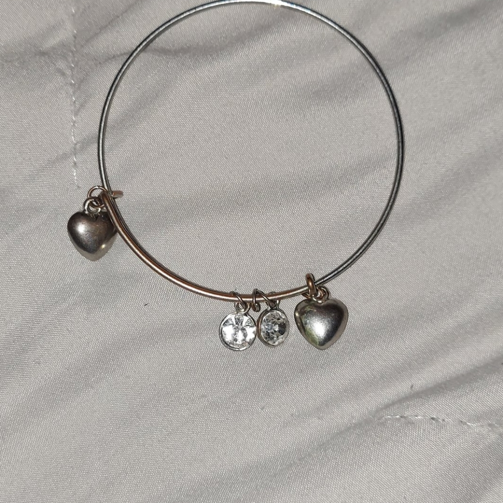 alex and ani braclet